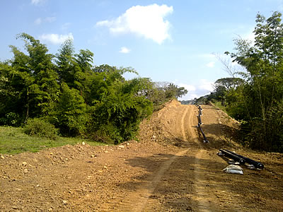 Servicios